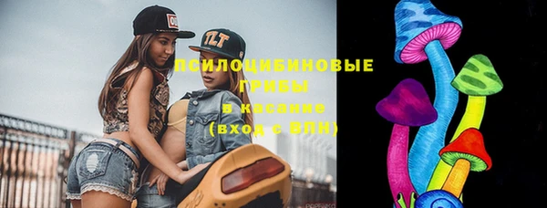 шишки Абдулино