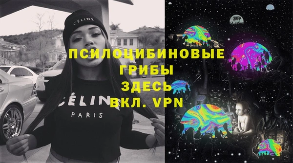 шишки Абдулино
