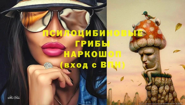 мяу мяу мука Абаза
